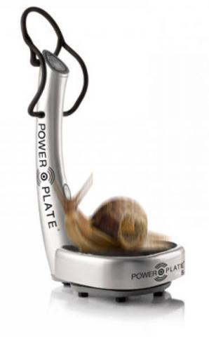 Plataforma vibratoria y Caracol